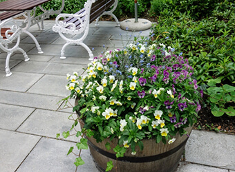 店外の花壇