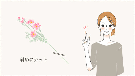 よくある質問 千葉県習志野市のお花屋さん ネットショップでも販売中
