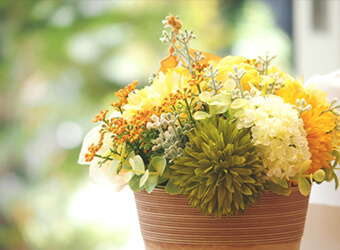 寄せ植えの定期便