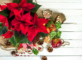 クリスマス・迎春